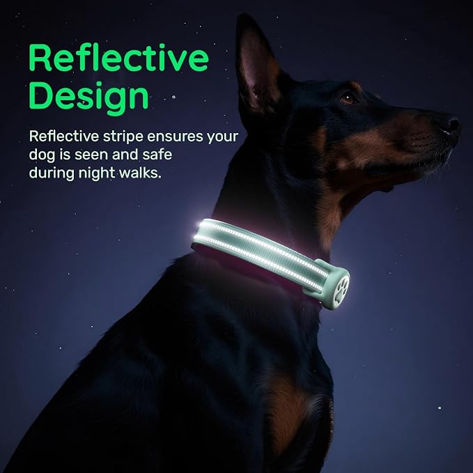 Airtag Dog Collar, Reflective Ultra-Durable Nylon Padded with QR Buckle & IP68 Waterproof Air Tag Holder Compatible for Apple AirTag, Comfortable for Small Medium Large Dogs (Green,XL)