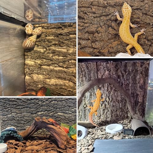 Cork Terrarium Background 11.8x7.9in 6PCS Natural Reptile Cork Bark Flats Terrarium Board Bearded Dragon Climbing Wall Mat Tank Accessories Decor for Lizard Chamelon Snake Turtle Spider Crested Gecko