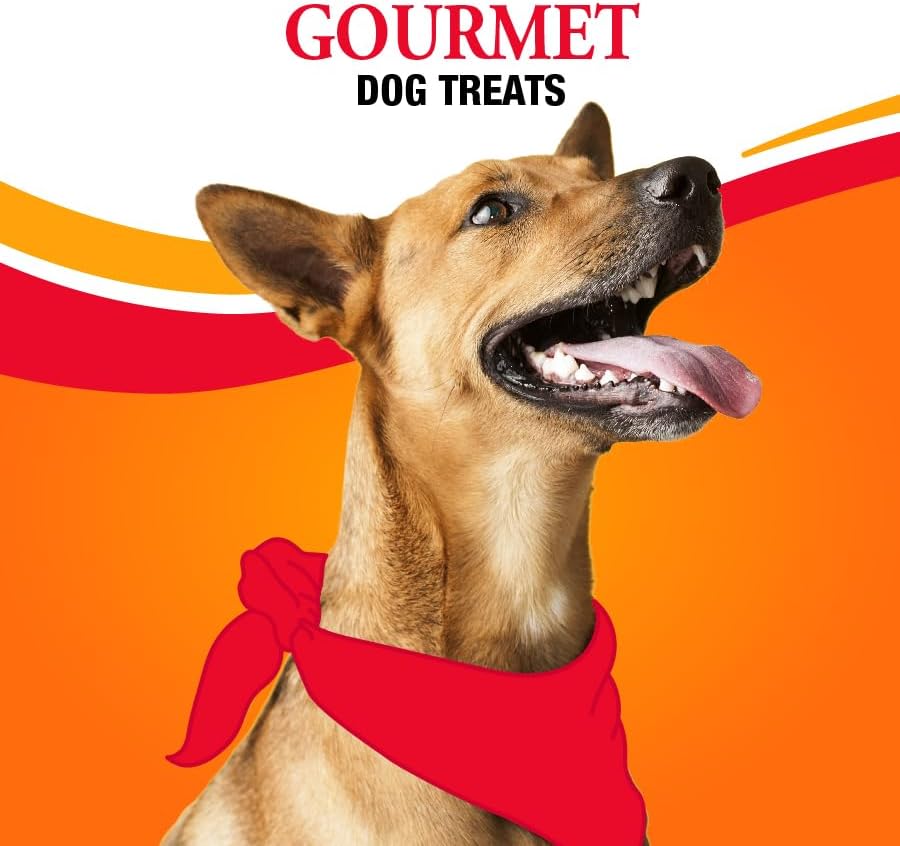 Good 'n' Fun Triple Flavor Blasts for All Dogs, 4 Ounces, Treat Your Dog to Long-Lasting Chews Made with Chicken Liver, Chicken & Duck (Pack of 2)
