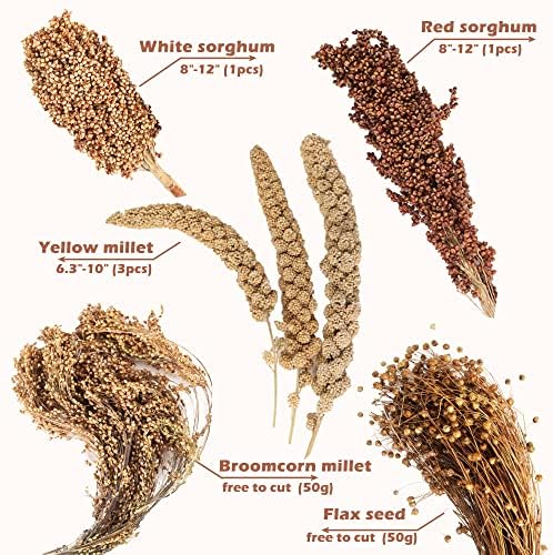 Natural Ear of Grain Flower&Herb Bedding Mate Habitat Decor, Adding Fun Hamster Accessories for Hamsters Gerbils Lemming