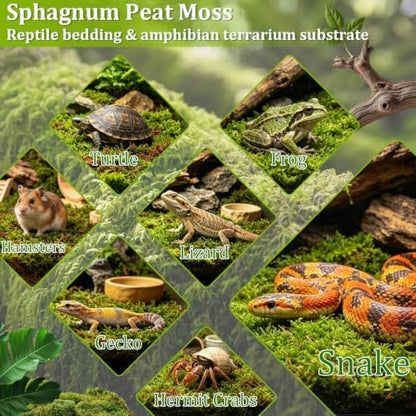 Riare 1.3LB Sphagnum Moss for Reptiles- 50QT Natural Reptile Moss Bedding