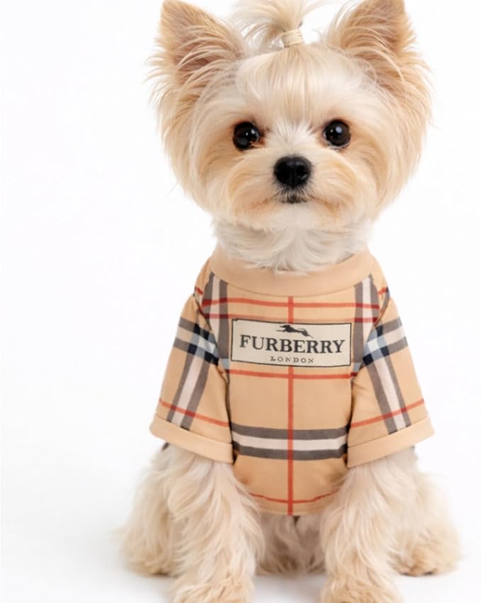 Luxury Designer Dog T Shirt – Trendy Puppy Clothes for Small Dogs, Fashion Pet Tee for French Bulldogs & Chihuahuas, Everything Chic Dog Apparel (FurberryTee, Medium)
