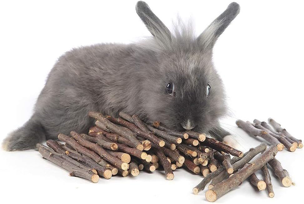 William Craft 1000g Apple Sticks Small Animals Molar Wood Toys for Rabbits Chinchillas Guinea Pig Hamster Gerbil Parrot Bunny and Small Animals Chew Stick Treats (2.2pound)
