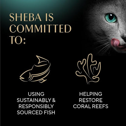 Sheba Selections Filets in Broth, Adult Cat Food Wet Recipe, Meal Complement, Wet Cat Food Variety Pack, Chicken Recipe and Chicken & Tuna Recipe, 1.3 oz. Cups, 8 Count (Pack of 2)