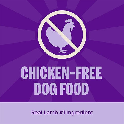 Wellness CORE Adult Dry Dog Food, Grain Free Kibble, Natural, High Protein, Lamb Recipe, 4 lb Bag