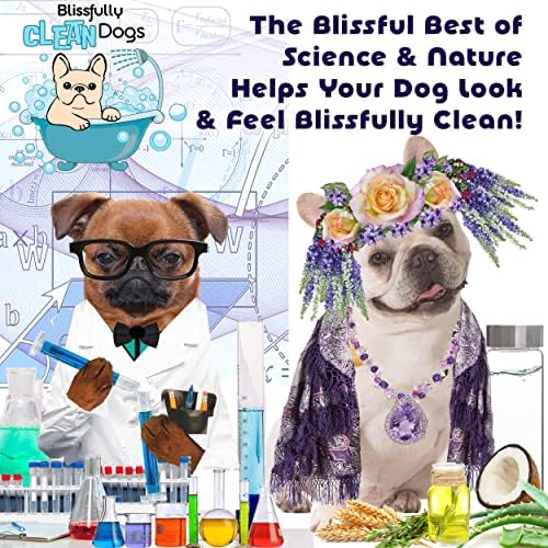The Blissful Dog Shetland Sheepdog Drama Queen Shampoo, 16 oz.