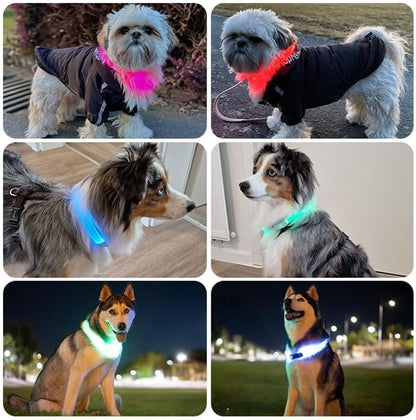 4G Dog GPS Tracker with Real-Time Location, Runaway Alerts, Activity Monitoring App, Waterproof Design & Rechargeable LED Dog Collar with 7 Color Modes, 27-Month Subscription Included – Black Bundle