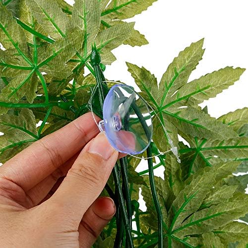 Reptile Plants Hanging Terrarium Plant Amphibian Habitat Decor
