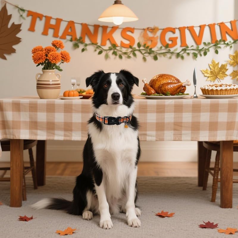 Lionet Paws Halloween Dog Collar- Cute Blank Orange Grid Fall Dog Collars with Plastic Buckle and Leaf Pendant,Light Thanksgivng Day Dog Collars for Medium Large Dogs