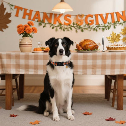 Lionet Paws Halloween Dog Collar- Cute Blank Orange Grid Fall Dog Collars with Plastic Buckle and Leaf Pendant,Light Thanksgivng Day Dog Collars for Medium Large Dogs