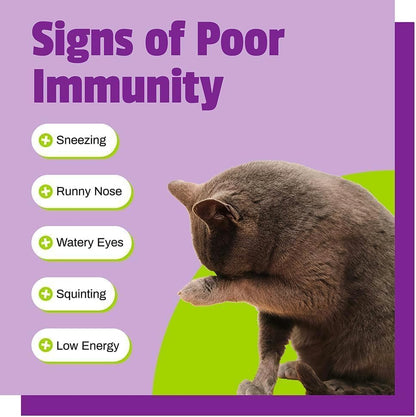 Pet Naturals Lysine Soft Chews, Immune and Respiratory Support for Cats, No Wheat or Corn, Vet Formulated, Value Size, Chicken, 160 Count