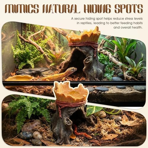 Resin Reptile Hide with Integrated Basin – Decorative Cave & Bowl for Terrarium Setup, Suitable for Bearded Dragon, Gecko, Turtle, Snake, Spider, Frog, Scorpions