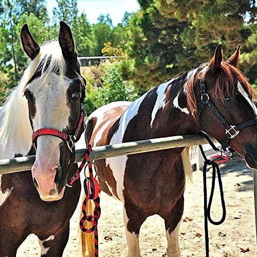 Injuries Preventing Horse Tether Tie - Portable, Versatile & Reusable Breakaway Horse Tie, Quick Release Under Heavy Pressure w/ 5 Loop Settings, Multi-Purpose Horse Clip 2 pcs Dark Purple
