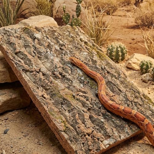 DECHOUS 3Pcs Natural Cork Bark Reptile Terrarium Background, 15.8x12 Inch