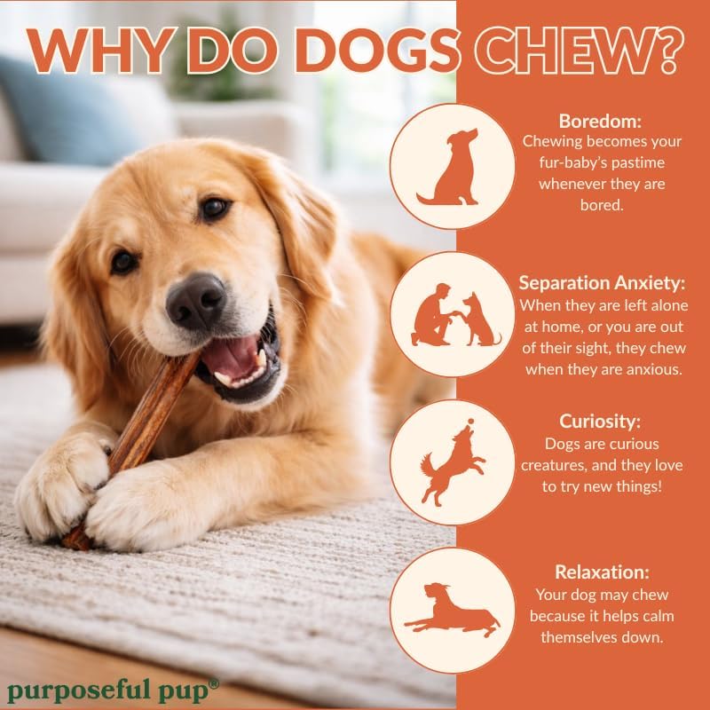 Bully Sticks for Large Dogs 12" – Single Ingredient, 20-Pack