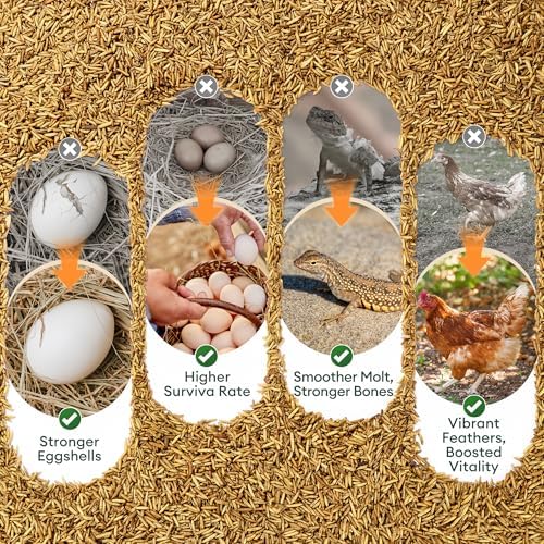 BUCATSTATE Dried Black Soldier Fly Larvae for Chickens and Ducks, 10LB