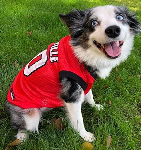 NCAA Basketball Pet Jersey Louisville Cardinals Dog Jersey, Medium