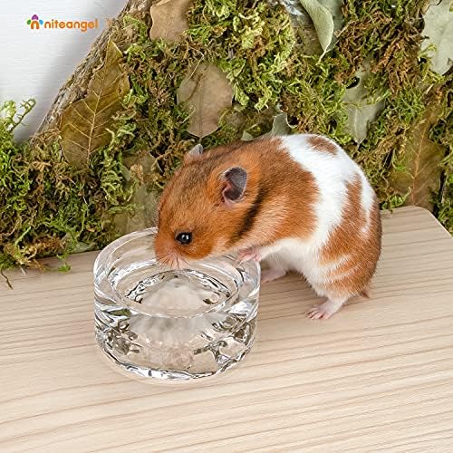 Niteangel Hamster Feeding & Water Bowl- 50ml Capacity & No Wet Fur for Pet