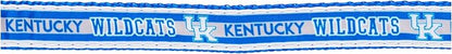 Pets First Collegiate PET Collar New Version Kentucky Wildcats Dog Collar, Size Medium. Best Sports Team Color for Dogs & Cats. A Shiny & Colorful Dog & Cat Collar Licensed by The NCAA