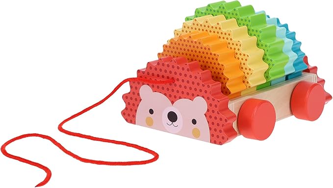 Petit Collage Rainbow Hedgehog Wooden Pull Toy