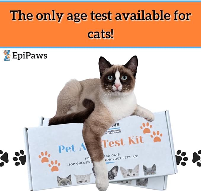 Pet Age Test for Dogs & Cats - Includes Wellness Insights for Your Pet’s Life Stage - At Home Epigenetic Biomarker Testing Kit, Great for Rescued Pets