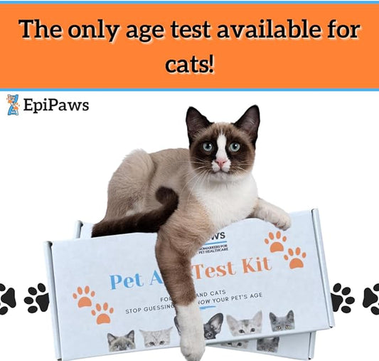 Pet Age Test for Dogs & Cats - Includes Wellness Insights for Your Pet’s Life Stage - At Home Epigenetic Biomarker Testing Kit, Great for Rescued Pets