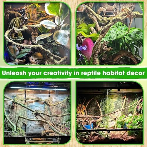 Duspro Reptile Decor Set, 10FT Bendable Vine & 4 Oz Dried Forest Moss