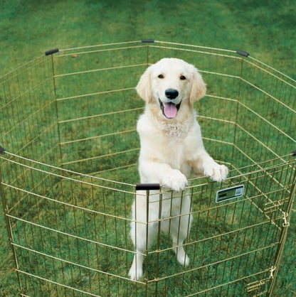 MidWest 30-Inch Exercise Pen, Single Door, 16 Sq Ft Play Area