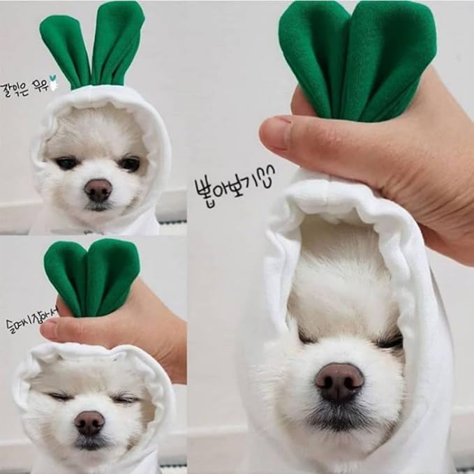 Pet Clothing Dog Transformation Frog Hoodie Autumn and Winter Warm Small Large Dog Method Dou Cat Bullfighting Clothes (White Radish,M)