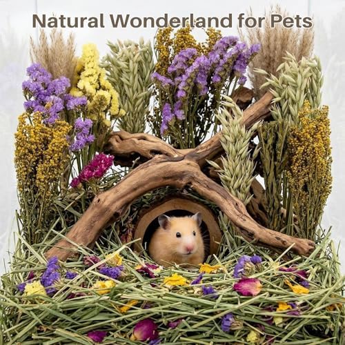 Sukh 42Pcs Hamster Sprays Natural - Sprays & Forage for Small Animals