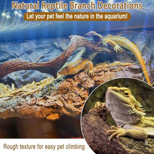 BNOSDM Reptile Forest Climbing Branch Decor 6PCS Crested Gecko Climb Wood Natural Branches Tree for Snake Frog Chameleon Spider Bearded Dragon Terrarium Habitat Tank Accessories
