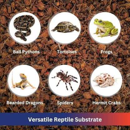 ReptiPlus Premium Coconut Chip Substrate for Reptiles – 10 LB Block in Carton Box, Expands to 72 Quarts – Natural & Dust-Free Coco Husk Bedding for Ball Python, Bearded Dragon, Tortoise & Gecko