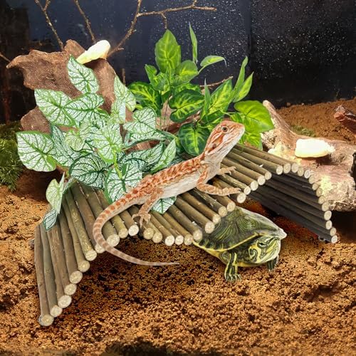 BNOSDM Reptile Hide Set Wooden Bridge Tortoise Hideout Climbing 19.7x9in