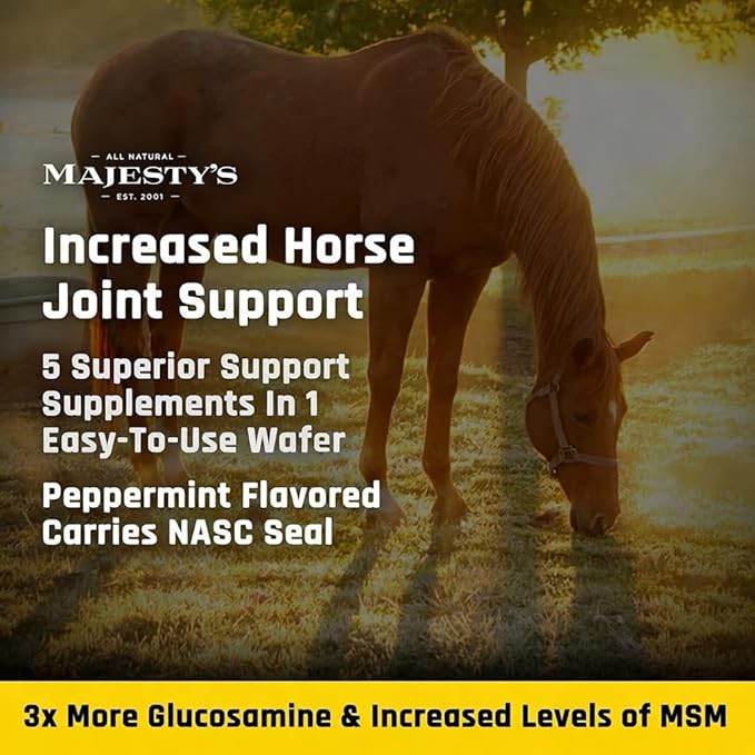 Majesty's Flex XT Wafers - Superior Horse/Equine Joint Support with Increased Supplement Levels - Glucosamine, MSM, Yucca, Vitamin C (Peppermint, 2 Pack (120 Count Total))