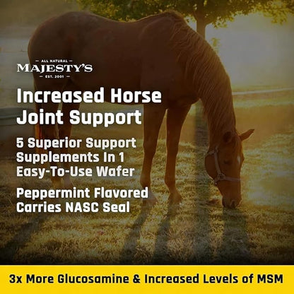 Majesty's Flex XT Wafers - Superior Horse/Equine Joint Support with Increased Supplement Levels - Glucosamine, MSM, Yucca, Vitamin C (Peppermint, 2 Pack (120 Count Total))