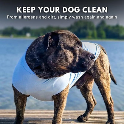 Spark Paws Sunblock Dog T-Shirt, SPF30 Protection, Lightweight Breathable Quick Dry for Dogs with Sensitive Skin - Blue & Mint (Set of 2) - 3XL