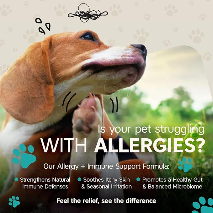 Seasonal Allergy & Immune Support for Dogs, 50 Tasty Oyster Soft Dog Chew Treats; Vet-Formulated Pet Dog Supplies that Promote Dog Allergy Relief & Itch Relief for Dogs