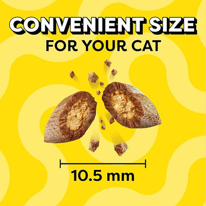 Temptations Cat Treats Classic Crunchy and Soft Cat Treats, Savory Salmon Flavor, 3 oz. Pouches (Pack of 12)