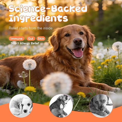 Dog Allergy Chews,Allergy & Immune Support Chews for Dogs, Dog is Human multivitamin Itch Relief, Ear Comfort, Probiotic Supplement and Digestive Health, Chicken Flavor, 120 Count