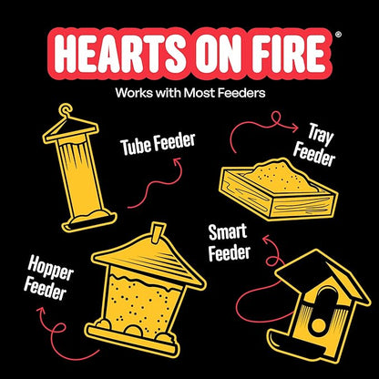 Cool Birds Hearts on Fire Hot Bird Seed – 10 lb. 100% Hulled Sunflower Hearts with Chili Pepper Oil – No Waste Bird Seed for Outside Feeders