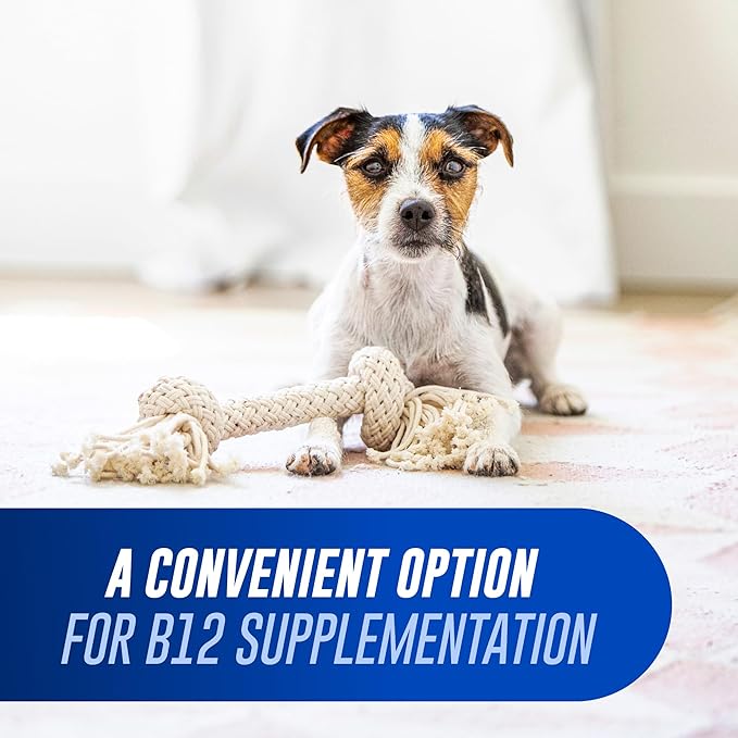 Nutramax Laboratories Cobalequin B12 Supplement for Cats and Small Dogs, 45 Count (Pack of 1)
