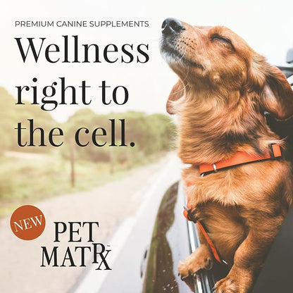 Move Joint Health Dog Supplement with Bovine Collagen - Sooth Pain from Inflammation and Support Dog's Immune System with Antioxidants (Large/X-Large Breed)