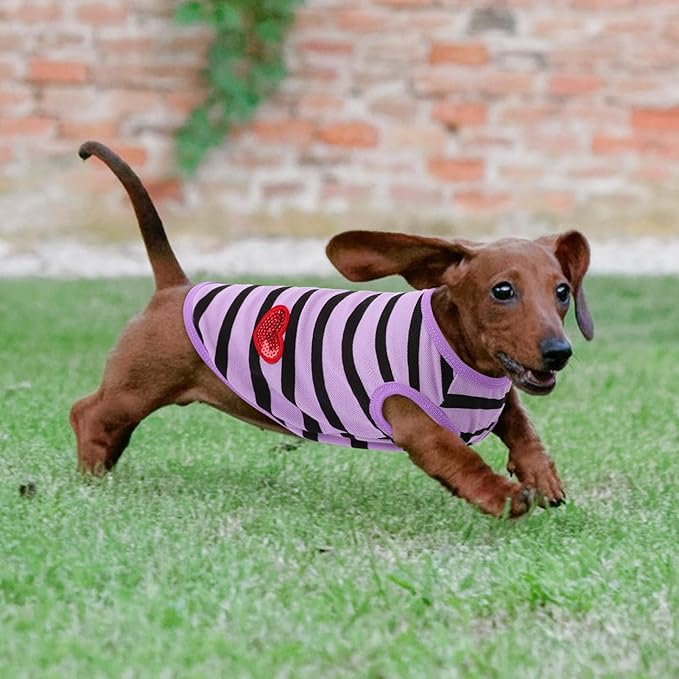 Dog Shirts for Small Dogs, Striped T-Shirts Pets Vest Pet Apparel Tee Shirts Dog Tank Top Spring Summer Suitable for Chihuahua French Bulldog Bichon Shih Tzu