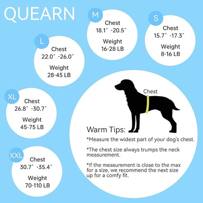 2 Packs Breathable Cotton Dog Recovery Suit for After Neuter Spay Abdominal Wounds Protector, Professional Anti-Licking Onesies for Male Female Pets Surgery Bandages, S Grey Blue Pure