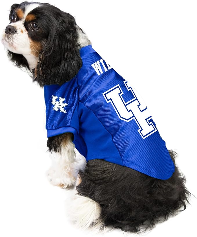 Littlearth NCAA Arizona Wildcats Stretch Pet Jersey, Team Color, Medium