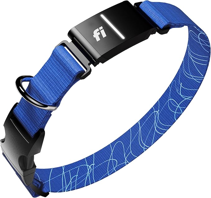 Fi Series 3+ GPS + Health Dog Collar, Blue, X-Large, 12-Month Membership | Smart GPS dog collar with live tracking, health & behavior, Escape Alerts, LED light. Waterproof and Apple Watch compatible.