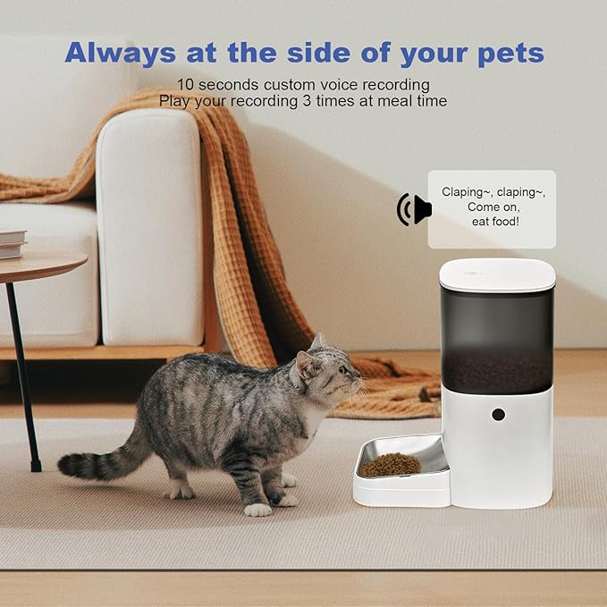 Automatic Cat Feeder, 6L Cat Food Dispenser with 10s Voice Recorder, Pet Feeder up to 8 Meals per Day, Timed Feeder with Dry Food Sealed Ring (Grey)