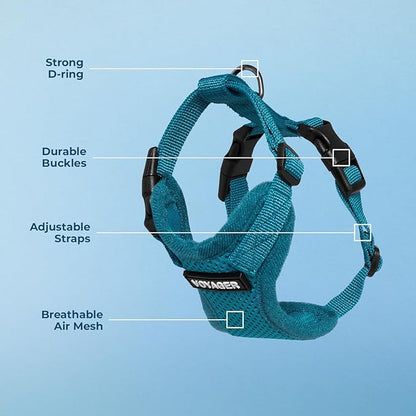 Voyager Step-in Pet Harness - All Weather Mesh, Adjustable Step in Harness for Cats and Dogs by Best Pet Supplies - Turquoise, L