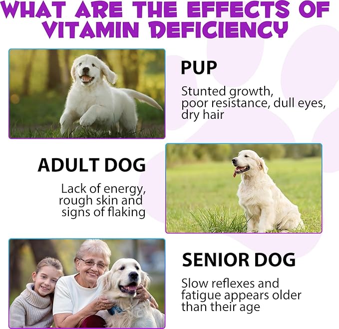 Dog Multivitamin Liquid - 15 in 1 Dog Vitamins Multivitamin, Support Skin & Coat, Heart, Bones and Joint Health, Pet Vitamins and Supplements (2 Fl Oz)