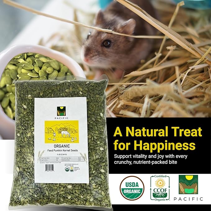 PACIFIC Organic Petfood Organic Feed Pumpkin Kernel Seeds - Organic Pumpkin Seeds for Dogs | Rich with Fiber & Minerals | USDA and CCOF Certified | Packed in USA - 2Lbs